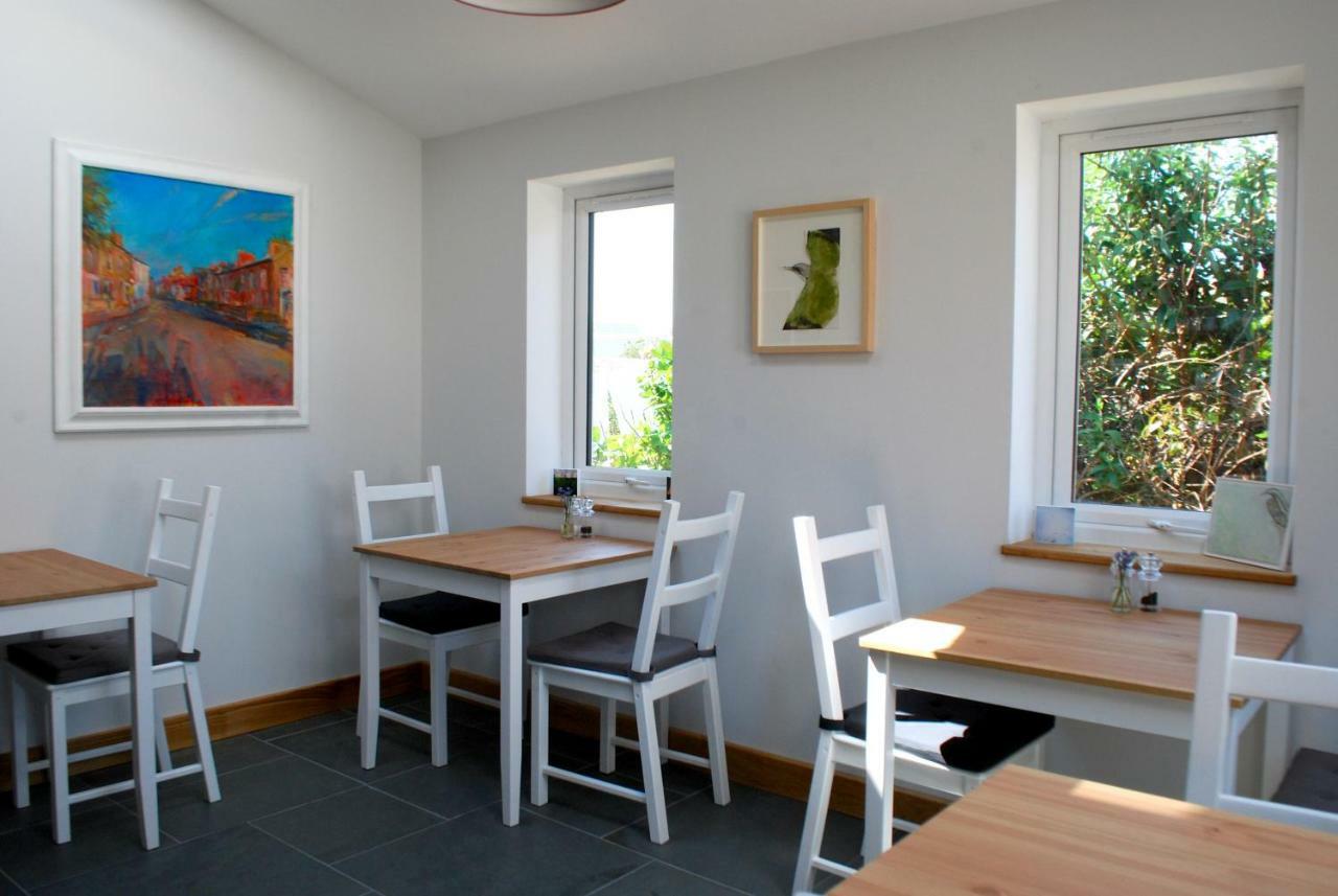 Ty Boia Bed & Breakfast Saint David's Extérieur photo